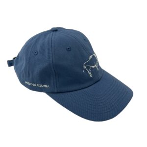 GORRA BISONTE AZUL ALTAMIRA