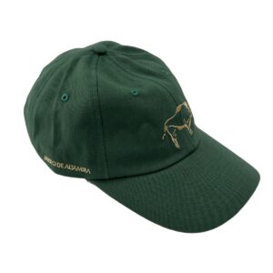 GORRA BISONTE VERDE ALTAMIRA